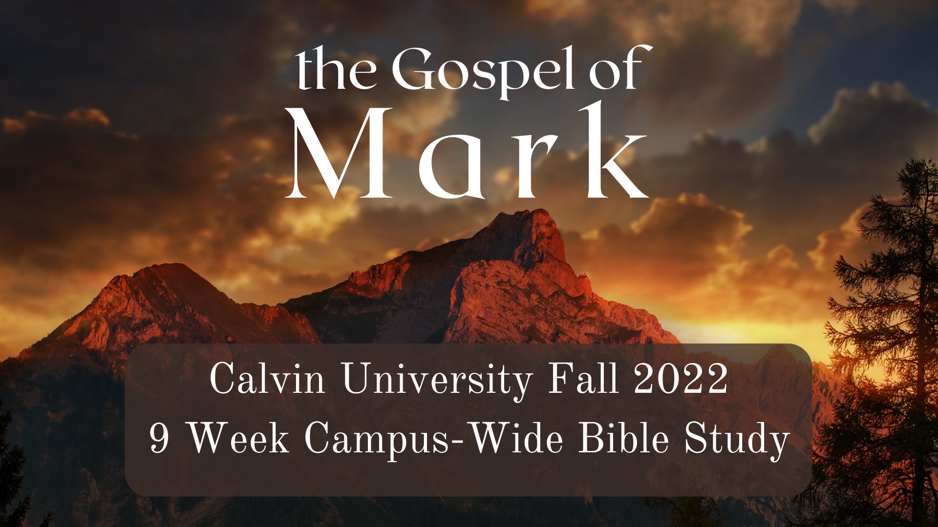 Mark Bible Study.png